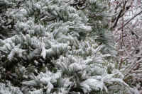 2026020803953-1.jpg (142432 �o�C�g)