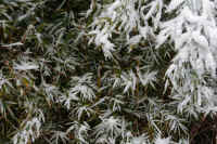 2026020803957-1.jpg (139564 �o�C�g)