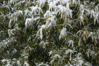 2026020803959.jpg (148604 �o�C�g)