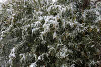 2026020803960-1.jpg (164012 �o�C�g)