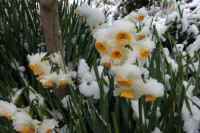 2026020803963-1.jpg (90665 �o�C�g)