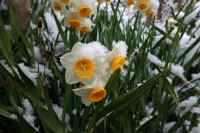 2026020803965-1.jpg (85149 �o�C�g)