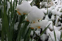 2026020803967-1.jpg (77605 �o�C�g)