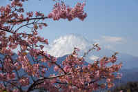 2026021903974-1-1.jpg (105529 �o�C�g)