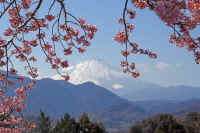 2026021903978-1.jpg (96550 �o�C�g)