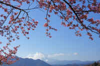 2026021903987-1.jpg (105172 �o�C�g)