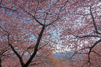 2026021903994.jpg (181988 �o�C�g)