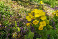 2026021903999.jpg (115489 �o�C�g)