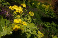 2026021904000.jpg (101677 �o�C�g)