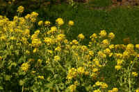 2026021904004.jpg (154664 �o�C�g)