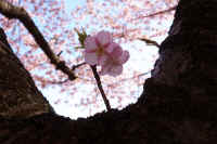 2026021904012.jpg (79307 �o�C�g)