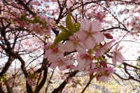 2026021904014-1.jpg (126321 �o�C�g)