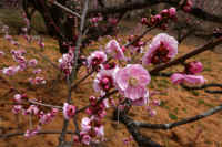 2026022004057-1.jpg (90518 �o�C�g)