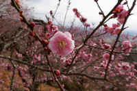 2026022004058.jpg (84050 �o�C�g)