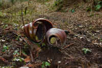 2026030604100.jpg (124246 �o�C�g)