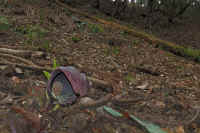 2026030604105-2.jpg (107120 �o�C�g)