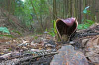 2026030604112-1.jpg (111971 �o�C�g)