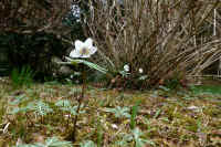 2026030604129.jpg (129308 �o�C�g)