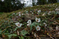 2026030604135.jpg (107118 �o�C�g)