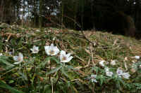 2026030604137.jpg (109400 �o�C�g)