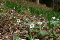 2026030604139.jpg (132209 �o�C�g)