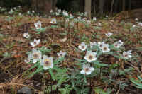 2026030604151.jpg (110416 �o�C�g)