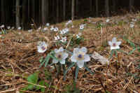 2026030604156.jpg (120826 �o�C�g)