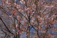 2026031604221-1.jpg (144417 �o�C�g)