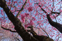 2026031604223-1.jpg (162219 �o�C�g)