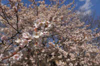 2026031604238-1.jpg (131732 �o�C�g)