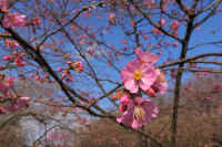 2026031604248-1.jpg (90647 �o�C�g)