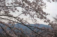 2026033004547.jpg (141441 �o�C�g)