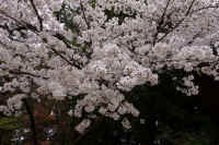 2026033004551.jpg (142273 �o�C�g)