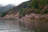 2026033104588-1.jpg (95075 �o�C�g)