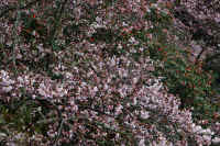 2026033104609-1.jpg (197328 �o�C�g)