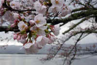 2026033104612-1.jpg (79760 �o�C�g)