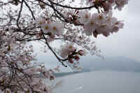 2026040104647-1.jpg (88250 �o�C�g)