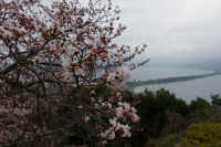 2026040104656-1.jpg (247248 �o�C�g)