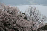 2026040104660-1.jpg (138655 �o�C�g)