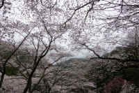 2026040104695-1.jpg (169477 �o�C�g)