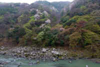 2026040104731-1.jpg (108939 �o�C�g)