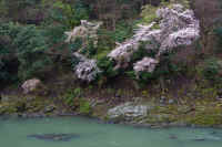 2026040104733-1.jpg (121337 �o�C�g)