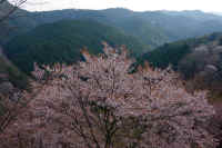 2026040204740-1.jpg (127261 �o�C�g)