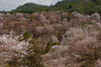 2026040204752-1.jpg (285831 �o�C�g)