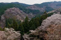 2026040204756-1.jpg (112011 �o�C�g)