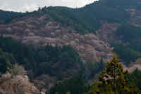 2026040204762-1.jpg (186005 �o�C�g)