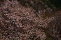 2026040204784-1.jpg (159130 �o�C�g)