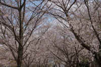 26-2026032804494.jpg (165953 �o�C�g)