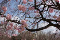 27-2026032804497.jpg (136636 �o�C�g)